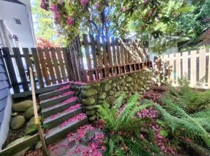 Garden steps and ferns under a flowering tree